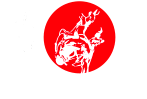 JSV Bernau